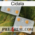 Cidala 25